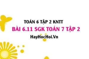 Bài 6.11 SGK Toán 7 tập 2 Kết nối tri thức
